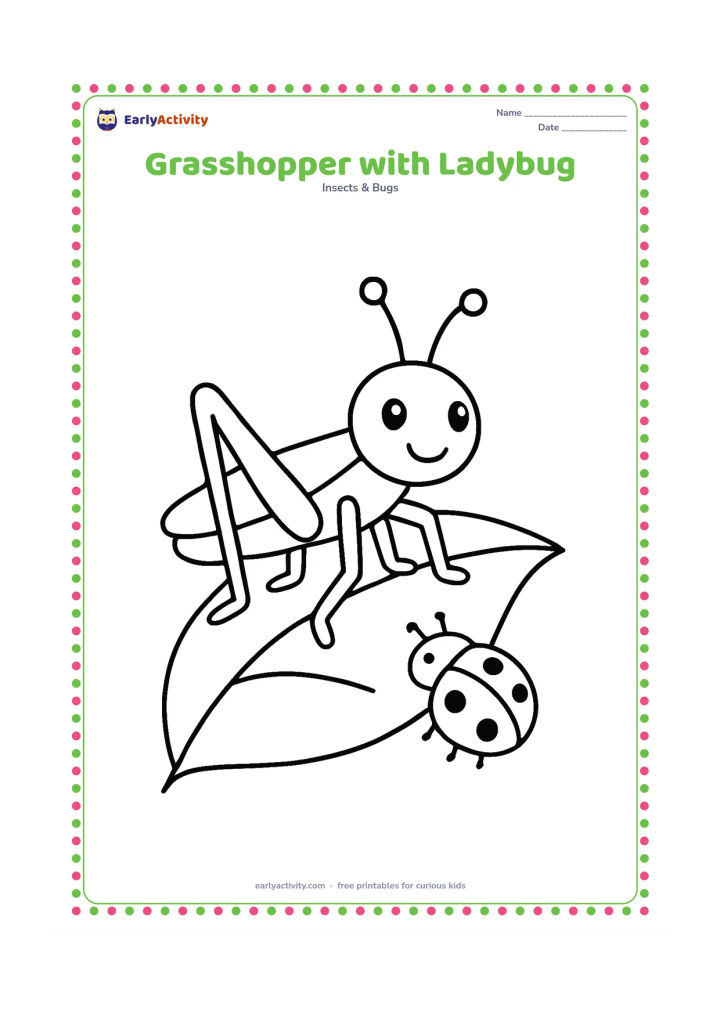 Colouring page: Draw a large grasshopper on a leaf with a small friendly ladybug nearby. Both insects should be fully visible, with the grasshopper clearly larger and its six legs easy to identify.