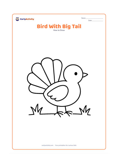 Worksheet: A side-view bird stands on the ground with an unusually large, simple fan-shaped tail behind its oval body. Add a round head, short beak, one wing, two feet and two small grass tufts.