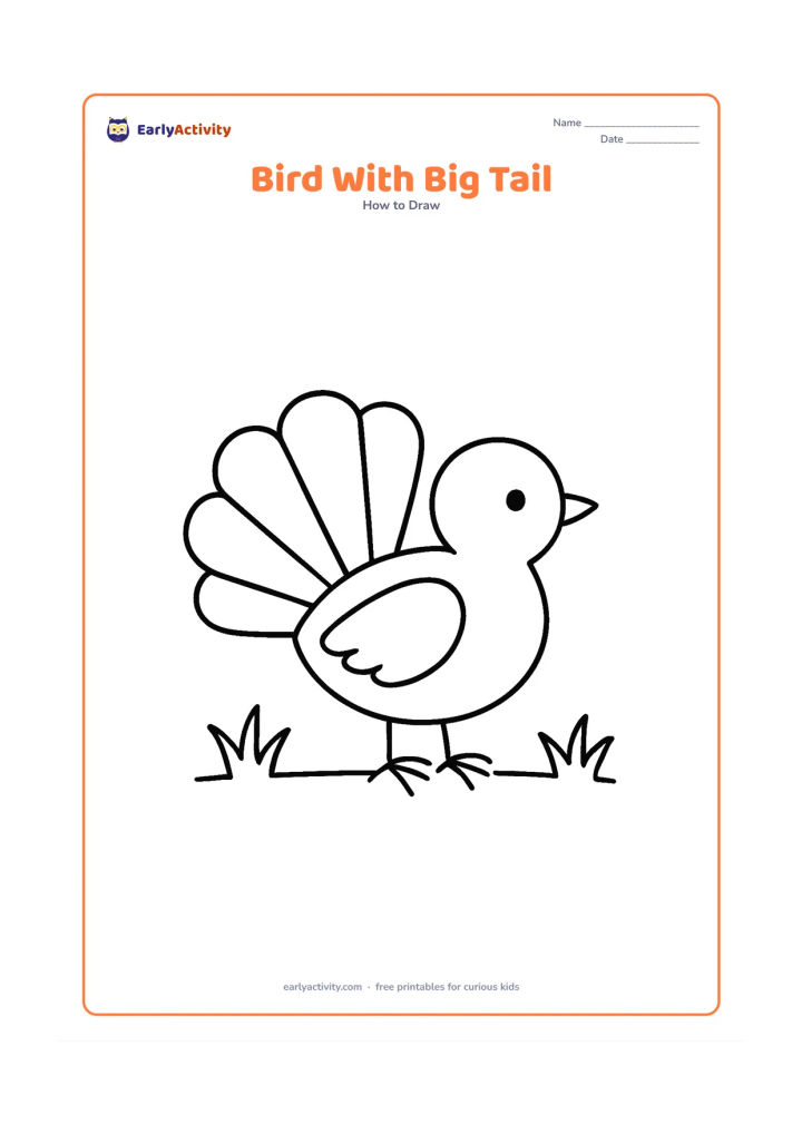Worksheet: A side-view bird stands on the ground with an unusually large, simple fan-shaped tail behind its oval body. Add a round head, short beak, one wing, two feet and two small grass tufts.