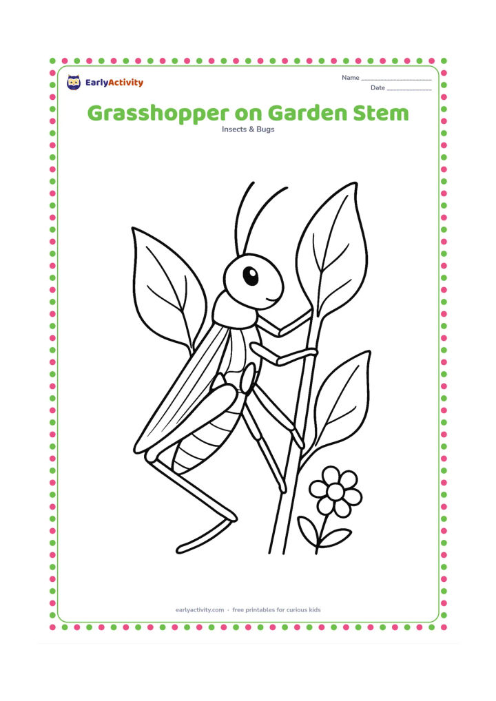 Colouring page: Draw a grasshopper gripping a tall garden stem beside two broad leaves and a small flower. Show its bent legs, antennae, and folded wings in a clear side view.