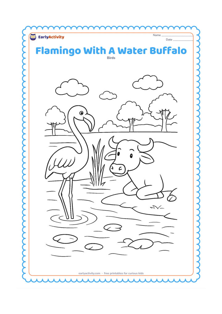 Colouring page: Draw a flamingo standing in shallow water near a calm water buffalo at the edge of an Indian wetland. Add reeds, a muddy bank, a few floating leaves and distant trees.