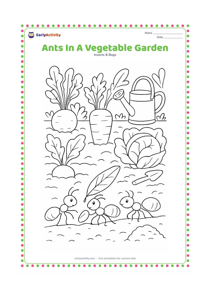 Colouring page: Ants travel between rows of large vegetables, carrying a leaf and a seed near a small soil mound. Include garden borders, broad leaves, a hand trowel, and a watering can in the background.