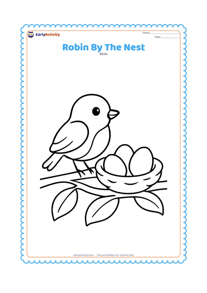 Colouring page: Draw a large robin standing beside a simple low nest containing three large eggs. Place both on a broad leafy branch with two or three oversized leaves.