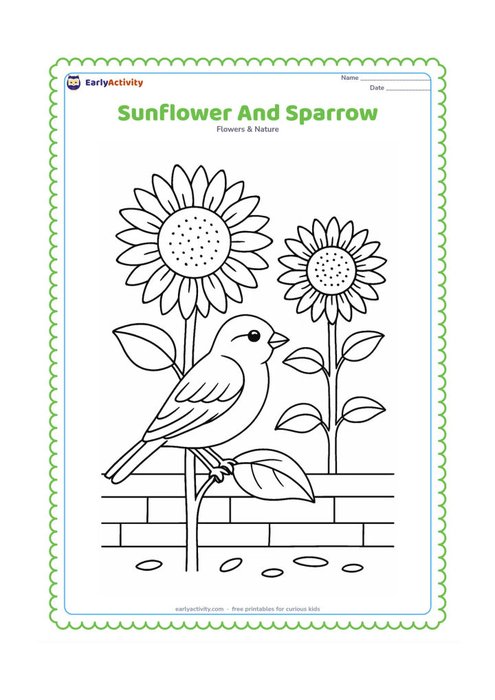 Colouring page: A sparrow perches on the stem of a tall sunflower while another sunflower blooms behind it. Add two leaves, a low garden wall, and a few loose feathers or seed shapes on the ground.