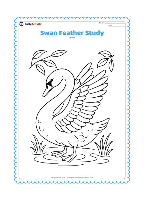 Colouring page: A large swan turns its head toward one raised wing, showing layered flight feathers, neck feathers, webbed feet, and a small patch of water plants below. Frame the bird with a few leaves…