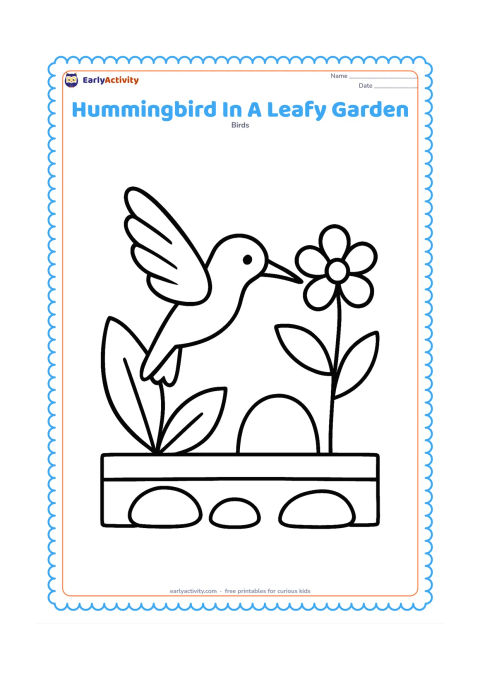 Colouring page: A hummingbird flies between two oversized leaves toward one open flower. Use a low garden border and a few large round stones in the background.