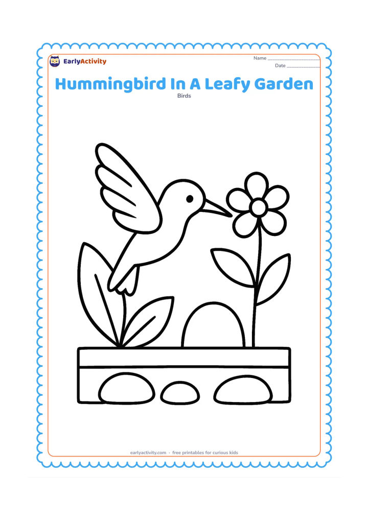 Colouring page: A hummingbird flies between two oversized leaves toward one open flower. Use a low garden border and a few large round stones in the background.
