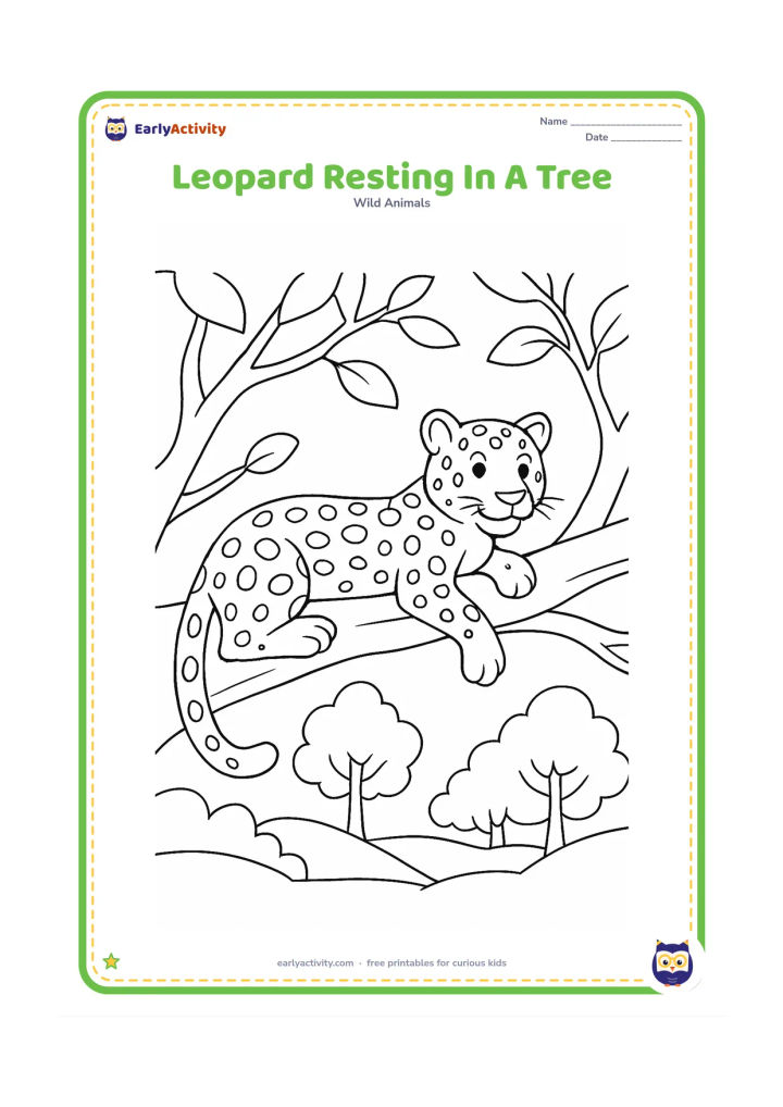 Colouring page: A relaxed leopard lies along a strong tree branch with its front paws hanging over the edge. Include spotted fur, twisting branches, and a simple forest view below.