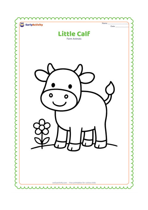 Colouring page: A cheerful calf stands beside a small flower, facing the viewer with its tail lifted slightly. Place both animals on a simple grassy ground line.