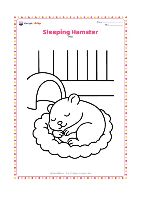 Colouring page: A peaceful hamster sleeps curled inside a small nest of soft bedding, with its paws tucked near its face. Add a simple crescent-shaped hideaway and a quiet corner of the cage.