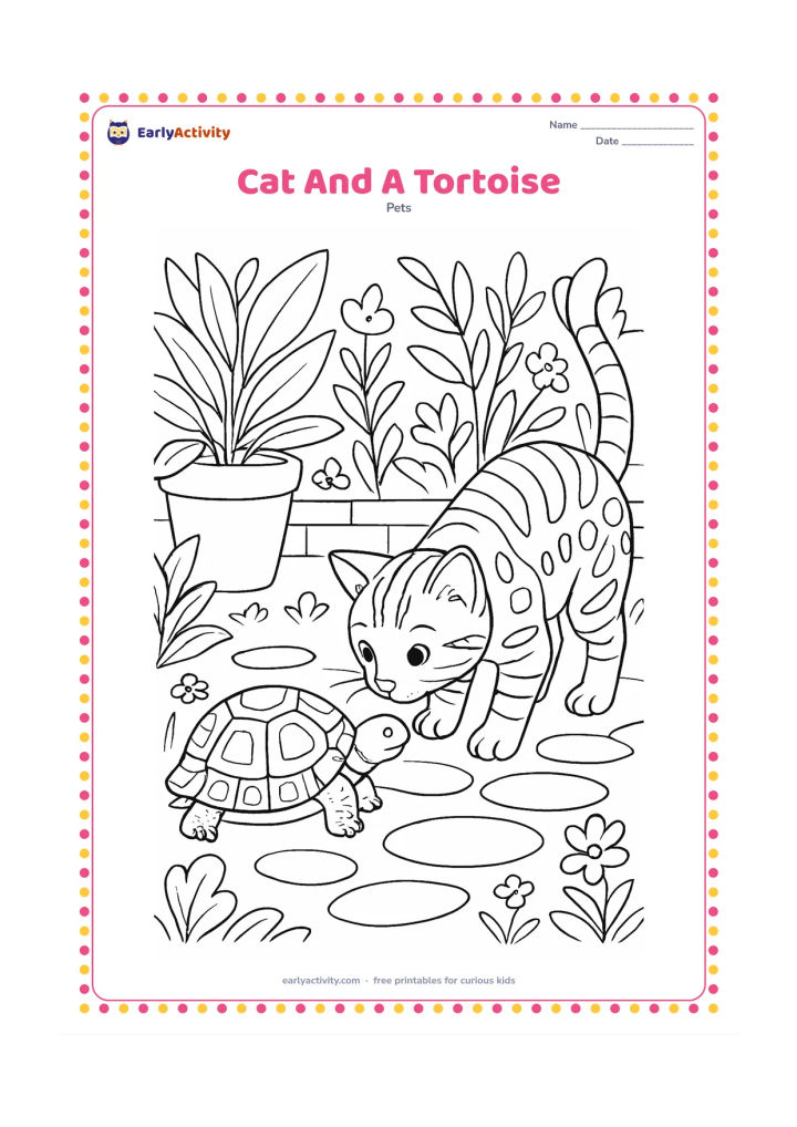 Colouring page: A curious patterned cat gently lowers its nose toward a friendly tortoise on a garden path in early spring. Surround them with leafy plants, a clay planter, stepping stones, small…