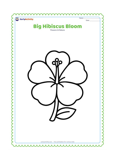 Colouring page: Draw one large open hibiscus facing forward, with five broad rounded petals, a simple central pollen tube, and a short leafy stem. Keep the flower centred with plenty of blank space…
