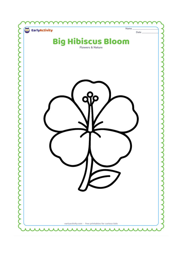 Colouring page: Draw one large open hibiscus facing forward, with five broad rounded petals, a simple central pollen tube, and a short leafy stem. Keep the flower centred with plenty of blank space…