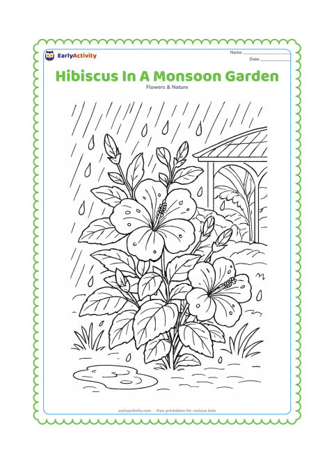 Colouring page: Draw a leafy hibiscus shrub during an Indian monsoon shower, with rain lines, droplets on petals, a small puddle, banana-like background leaves, and a covered garden walkway. Include two…