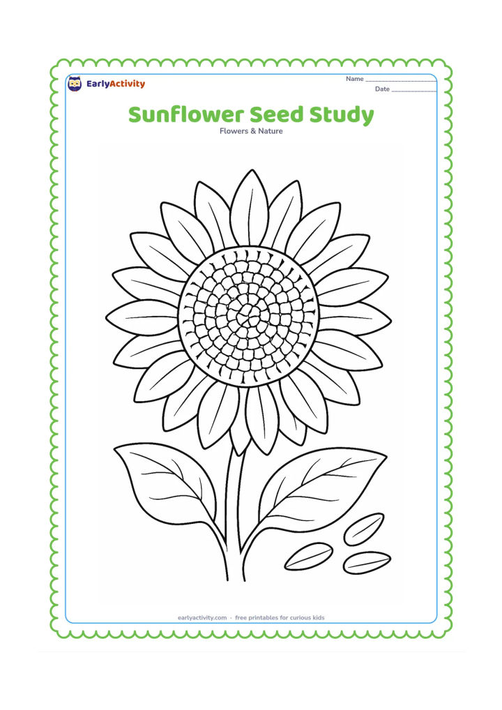 Colouring page: Show one large sunflower head close up, with several layers of petals around a carefully patterned centre and two leaves partly visible at the bottom. Add a few separate sunflower seeds…