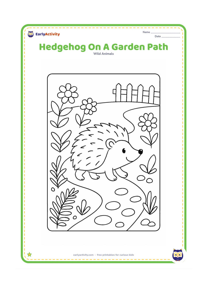Colouring page: Draw a hedgehog walking along a winding garden path bordered by flowers, ferns and rounded stones. Include a simple wooden fence in the distance.