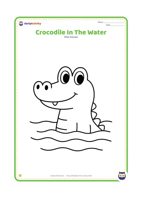 Colouring page: Draw a smiling crocodile floating in calm water with only its head, eyes, nostrils, and upper back above the surface. Add three broad curved water lines and no small background details.