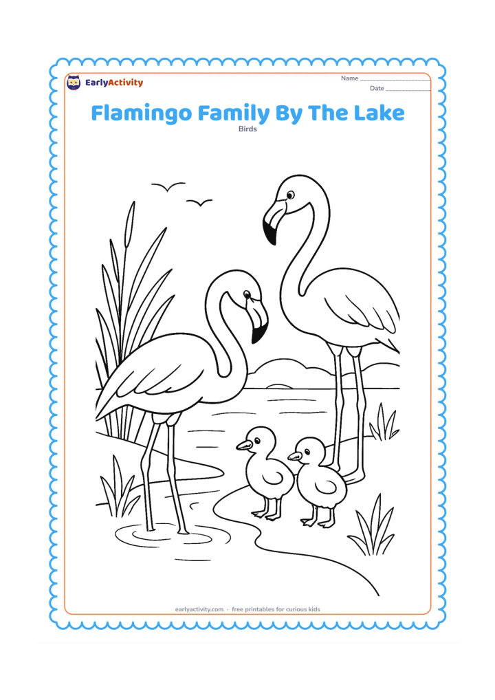 Colouring page: Draw two adult flamingos and two chicks gathered beside a lake, with one adult feeding, one standing and the chicks close together. Add reeds, water plants, a curved shore and distant birds.