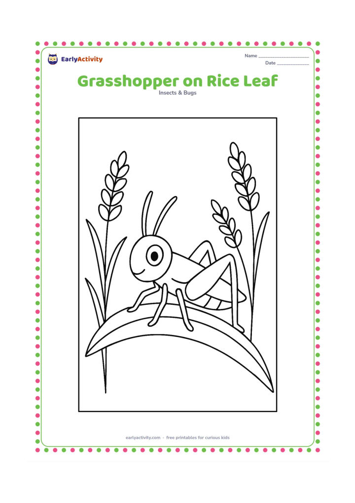 Colouring page: Draw a grasshopper perched on one long rice plant leaf, with a few simple rice stalks behind it and open space above the field.