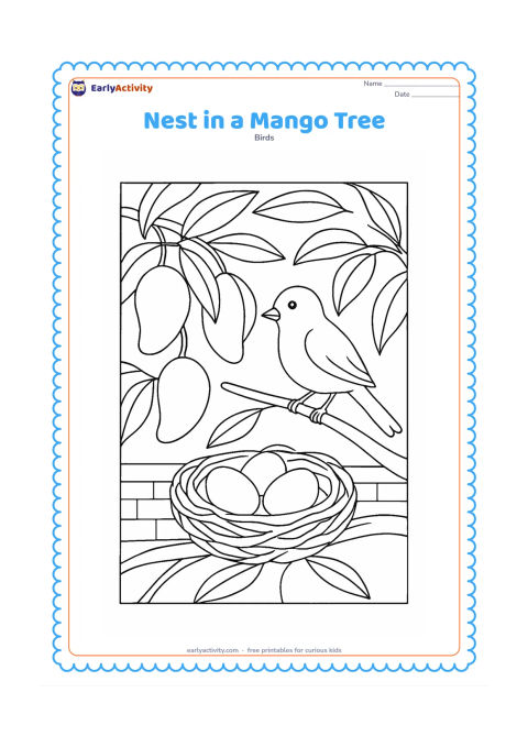 Colouring page: A nest with eggs rests among mango-tree leaves and a few hanging mangoes, while a small bird watches from a nearby branch. Include a simple garden wall in the distance.