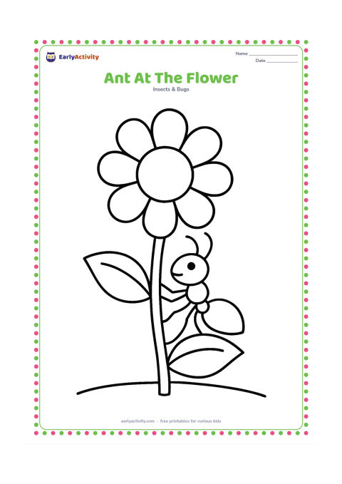 Colouring page: A single ant climbs the stem of a large garden flower toward its center. Include two broad leaves and a simple ground line.