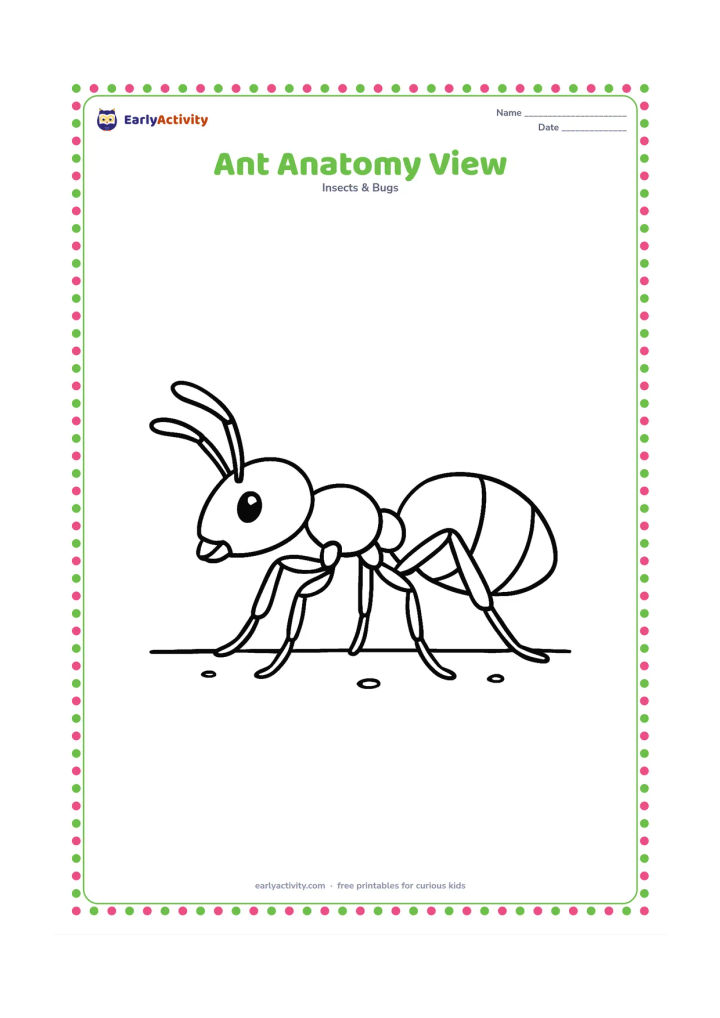 Colouring page: Show one ant in side profile on a plain ground line with its three body sections, six jointed legs, two feelers, and small mandibles clearly visible. Add only a few soil particles.