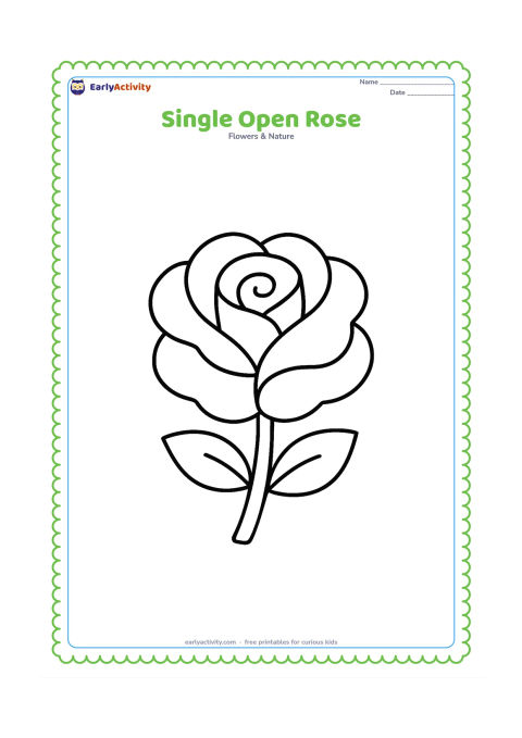 Colouring page: Draw one large open rose facing forward, with broad rounded petals, a short leafy stem, and two simple leaves. Leave generous open space around the flower.