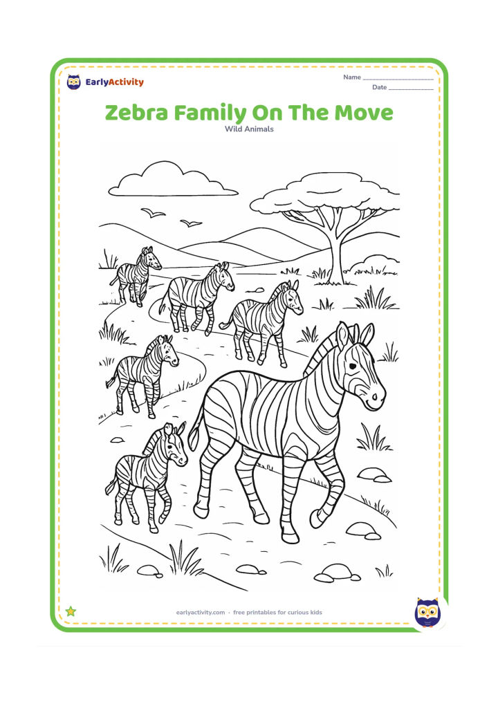 Colouring page: Draw a family herd of six zebras travelling along a winding grassland trail, including adults, juveniles and a foal. Add layered hills, tall grasses, an acacia, scattered rocks and birds…