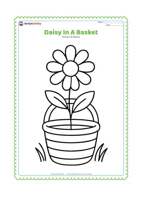 Colouring page: Draw a single daisy with a long stem placed in a small woven garden basket. Include a broad handle, two leaves and a few simple blades of grass.
