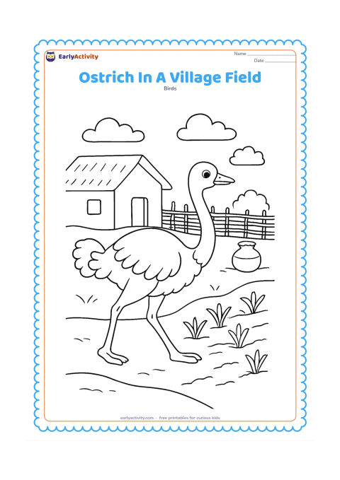 Colouring page: An ostrich walks along the edge of a simple Indian village field, with a mud-brick house, a woven fence, a water pot and crops in neat rows. Keep the bird as the main subject and include…