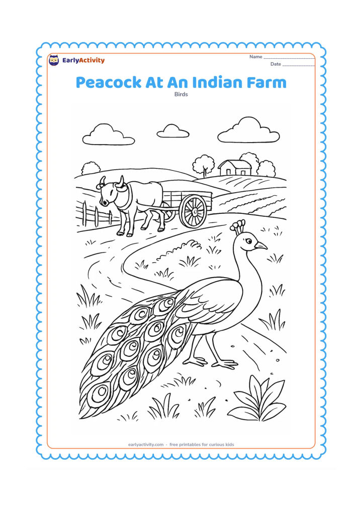 Colouring page: A peacock walks beside a farm path with a bullock cart, a low fence, crop rows, and a distant farmhouse. Add detailed grass, leaves, and individual tail feathers.