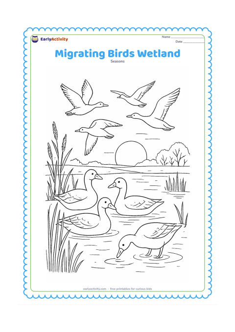 Colouring page: A group of migrating birds rests beside a winter wetland while others fly above them. Add reeds, shallow ripples, distant trees, a rising sun and one bird searching for food near the water.