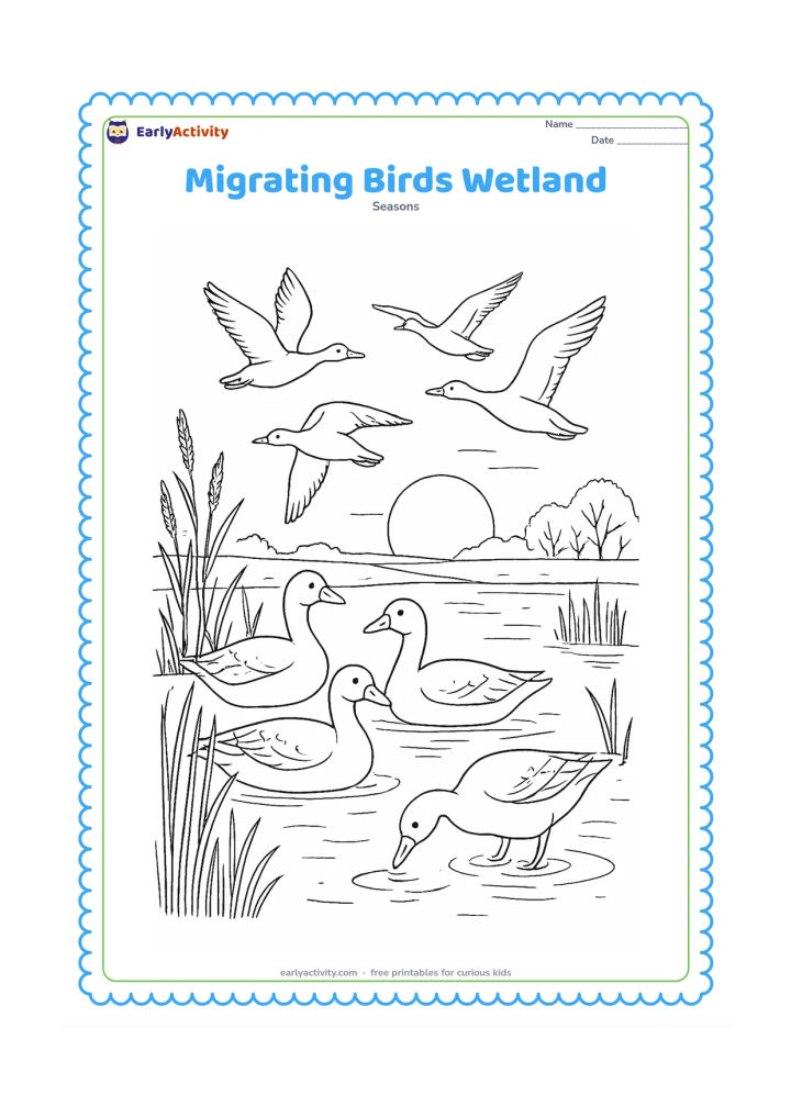 Colouring page: A group of migrating birds rests beside a winter wetland while others fly above them. Add reeds, shallow ripples, distant trees, a rising sun and one bird searching for food near the water.