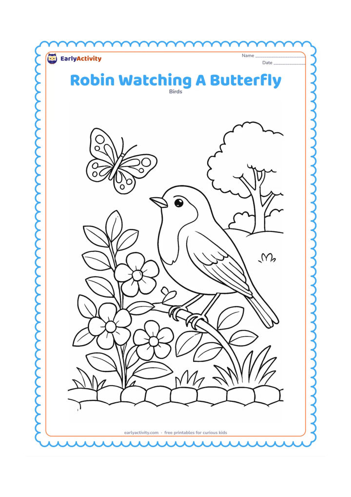Colouring page: Draw a robin perched on a flowering shrub while watching a butterfly hovering nearby. Include layered leaves, several open flowers, grass, a low stone border and a distant garden tree.