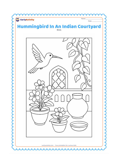 Colouring page: A hummingbird hovers near flowering pots in an Indian courtyard with a low wall, simple jali-style openings, a clay pot and a leafy vine. Include a small water bowl for birds.