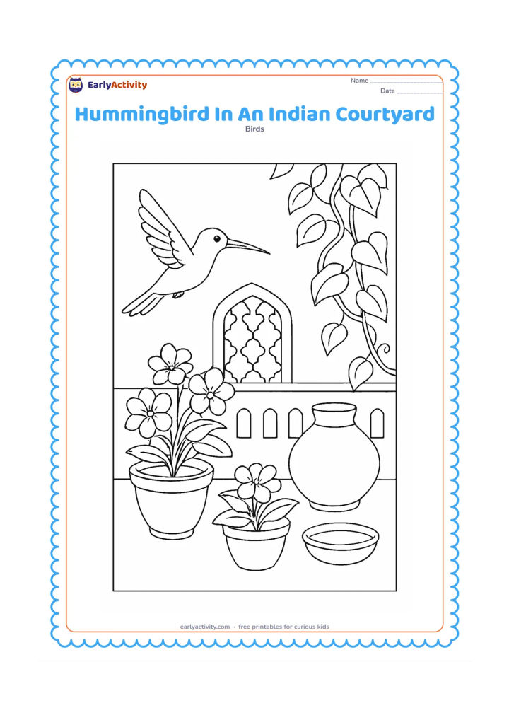 Colouring page: A hummingbird hovers near flowering pots in an Indian courtyard with a low wall, simple jali-style openings, a clay pot and a leafy vine. Include a small water bowl for birds.