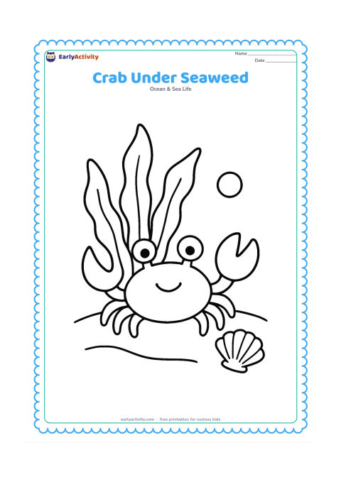 Colouring page: Draw a crab beneath three broad seaweed leaves, with a shell and a single bubble nearby. Use a simple seabed with a gently curved sandy bottom.