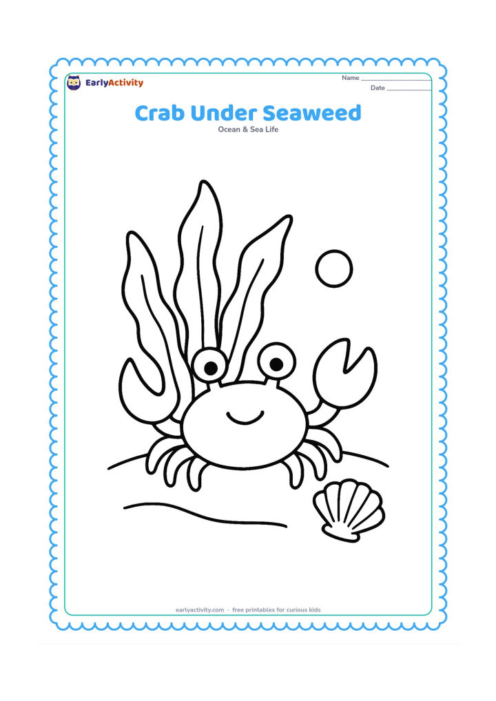 Colouring page: Draw a crab beneath three broad seaweed leaves, with a shell and a single bubble nearby. Use a simple seabed with a gently curved sandy bottom.
