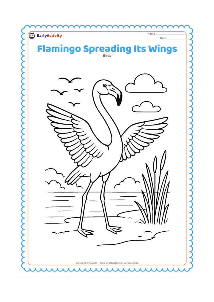 Colouring page: Draw a flamingo on a wetland bank spreading both wings fully, with layered primary feathers and its neck held proudly upward. Include water, reeds, a distant flock and soft cloud shapes.
