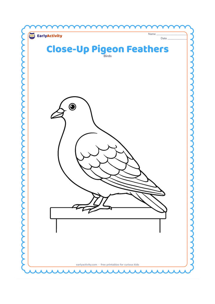Colouring page: A large side-view pigeon fills most of the page, showing layered wing feathers, a rounded chest, short neck, beak, tail, and feet in clear detail. Add only a small ledge beneath it and…