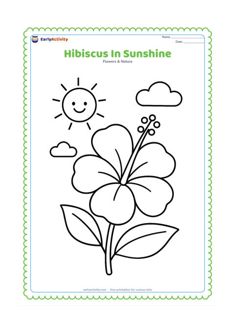 Colouring page: Draw a large open hibiscus with a smiling sun in the background, two simple clouds, and a short leafy stem. The sun must have only a few plain rays and no facial words or symbols.