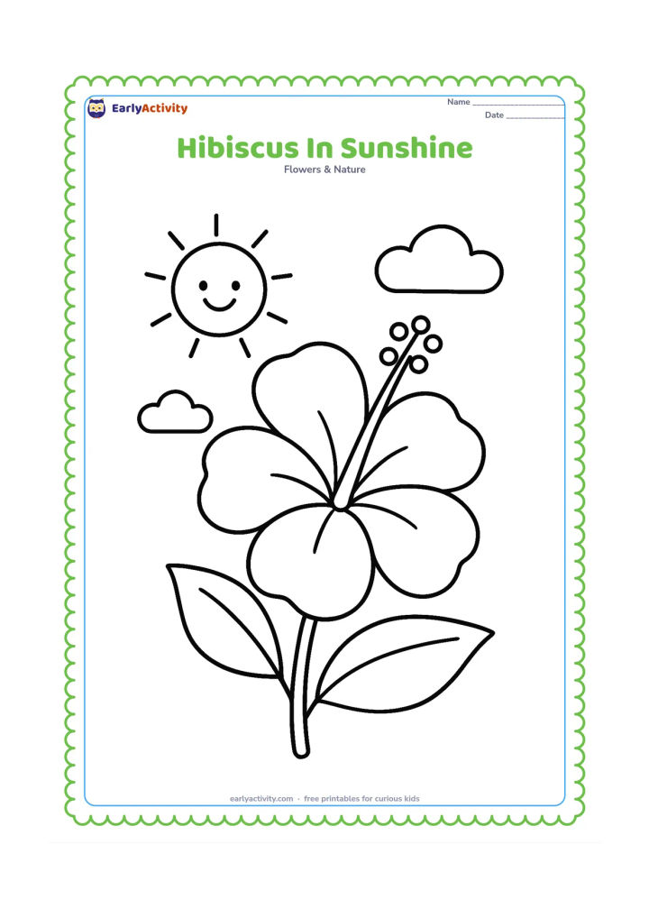 Colouring page: Draw a large open hibiscus with a smiling sun in the background, two simple clouds, and a short leafy stem. The sun must have only a few plain rays and no facial words or symbols.