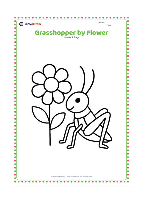 Colouring page: Draw a grasshopper perched beside one large simple flower with a round centre and broad petals. Show its long antennae and large hind legs clearly.