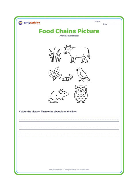 Worksheet: Show three simple visual food sequences in separate rows: grass near a cow, leaves near a caterpillar and a bird nearby, and seeds near a mouse with an owl above. Use open spaces between…