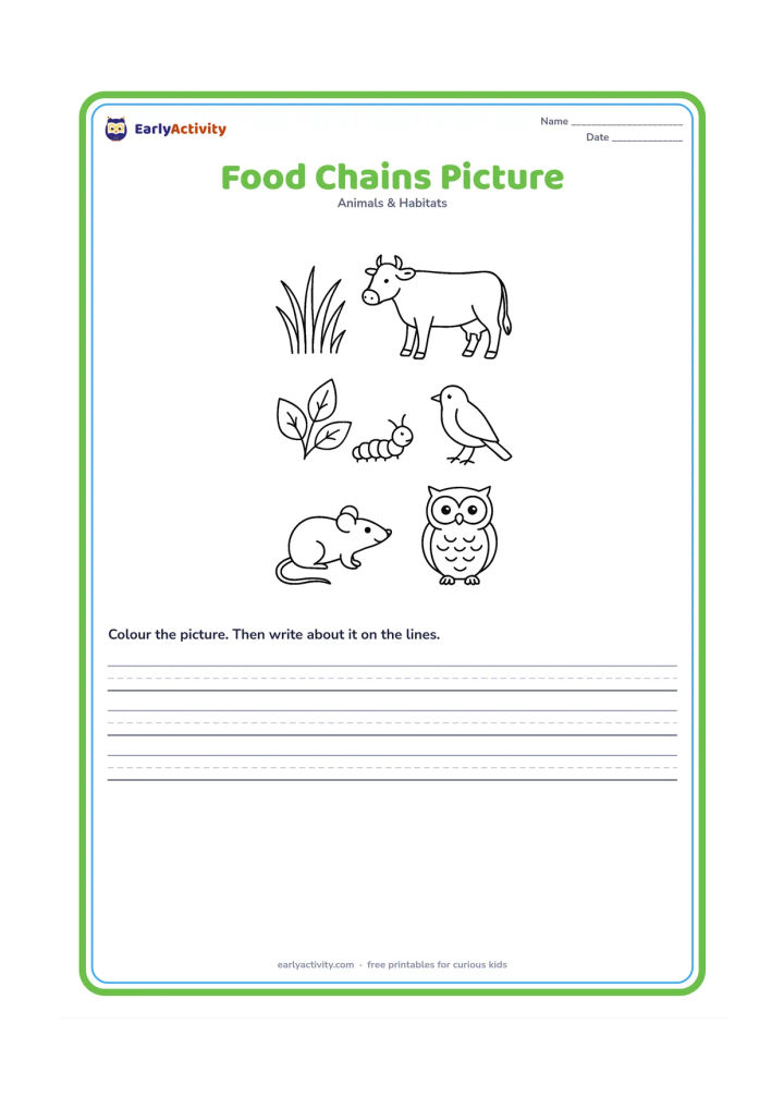 Worksheet: Show three simple visual food sequences in separate rows: grass near a cow, leaves near a caterpillar and a bird nearby, and seeds near a mouse with an owl above. Use open spaces between…