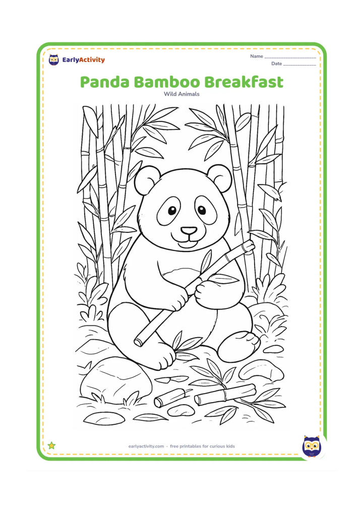 Colouring page: Draw a close forest scene of a panda seated among several types of bamboo, holding a thick stem while leaves and cut stems lie around it. Include varied rocks and overlapping foliage.
