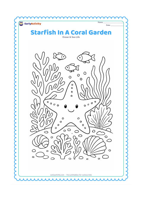 Colouring page: Draw a starfish crossing a detailed coral garden with branching coral, sea fans, seaweed, shells, pebbles and several small fish.