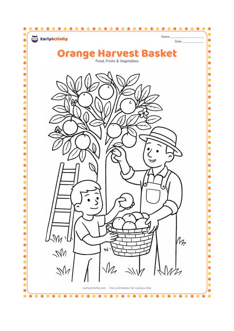 Colouring page: Draw a farm worker and child harvesting oranges into a woven basket beneath a full orange tree. Include leafy branches, a few blossoms, a ladder and grass at the tree base.