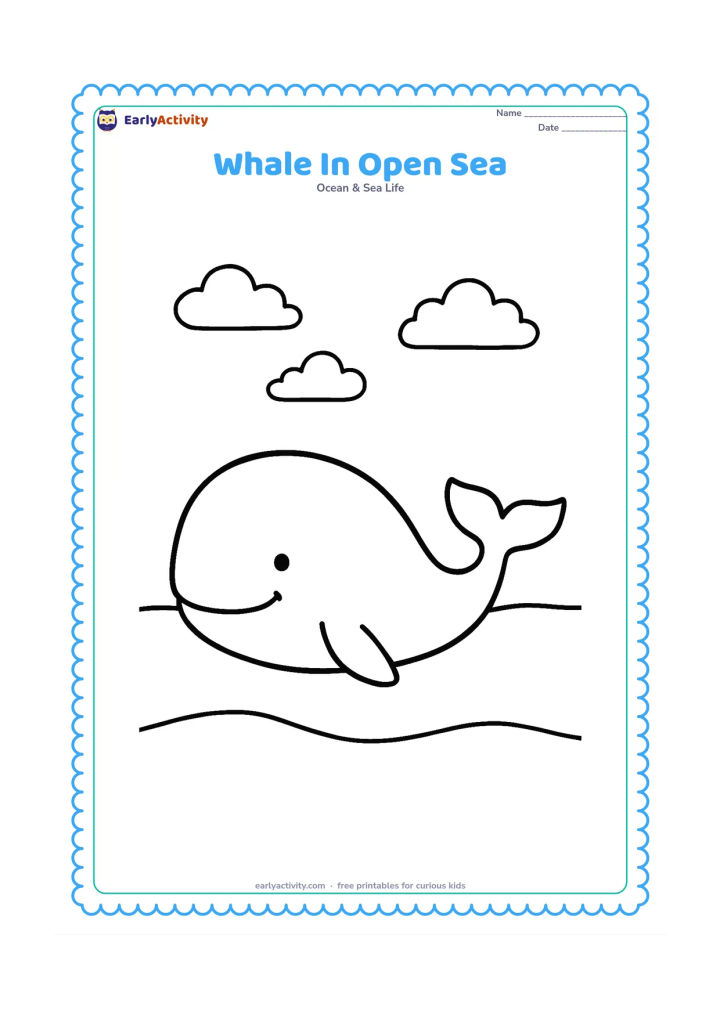 Colouring page: Draw one whale swimming across a wide open ocean with a curved waterline and a few small clouds far above. Leave large blank areas around the whale for children to invent their own setting.