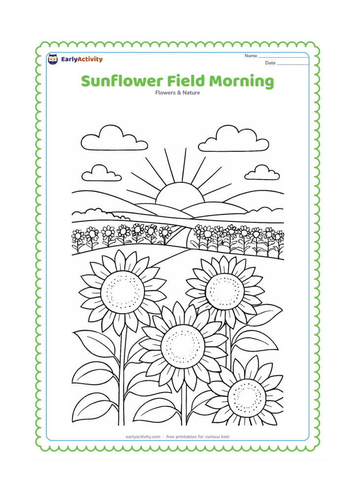 Colouring page: Rows of sunflowers stretch toward a low sunrise, with a few foreground blooms showing seed centres and overlapping petals. Add gentle hills and scattered clouds behind the field.